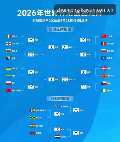 kaiyun下载安装手机版 2026世界杯观赛签证危机应对指南:从kaiyun体育平台看全球球迷的困境与自救